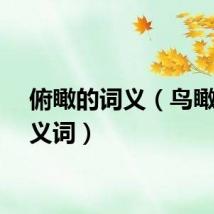 俯瞰的词义（鸟瞰的近义词）