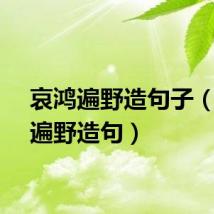 哀鸿遍野造句子（哀鸿遍野造句）
