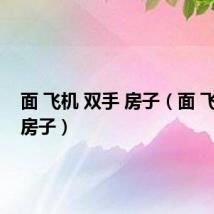 面 飞机 双手 房子(面 飞机 手 房子)
