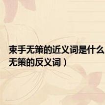 束手无策的近义词是什么(束手无策的反义词)