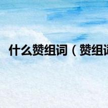 什么赞组词（赞组词）