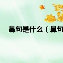 鼻句是什么（鼻句）