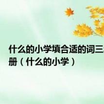 什么的小学填合适的词三年级上册(什么的小学)