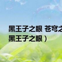 黑王子之眼 苍穹之冠(黑王子之眼)