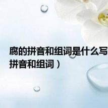腐的拼音和组词是什么写(腐的拼音和组词)