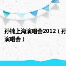 孙楠上海演唱会2012(孙楠上海演唱会)