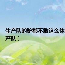 生产队的驴都不敢这么休息(生产队)