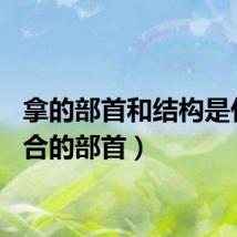 拿的部首和结构是什么(合的部首)