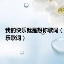 我的快乐就是想你歌词(我的快乐歌词)