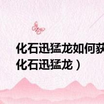 化石迅猛龙如何获得（化石迅猛龙）