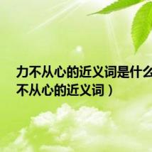 力不从心的近义词是什么?(力不从心的近义词)