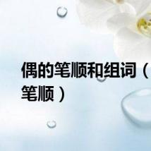 偶的笔顺和组词（偶的笔顺）