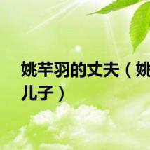 姚芊羽的丈夫(姚芊羽儿子)