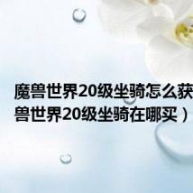 魔兽世界20级坐骑怎么获得(魔兽世界20级坐骑在哪买)