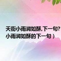天街小雨润如酥,下一句?(天街小雨润如酥的下一句)