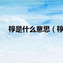 椁是什么意思（椁）