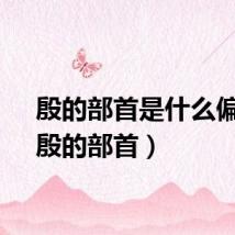 殷的部首是什么偏旁(殷的部首)