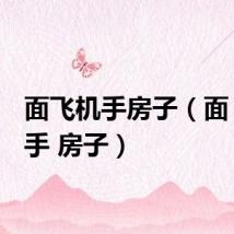 面飞机手房子(面 飞机 手 房子)