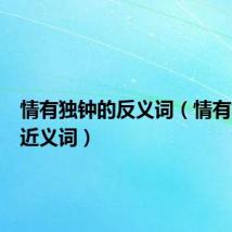情有独钟的反义词(情有独钟的近义词)
