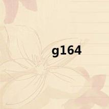 g164