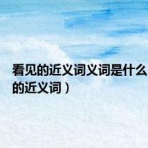 看见的近义词义词是什么(看见的近义词)