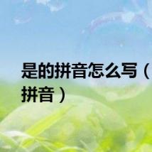 是的拼音怎么写（是的拼音）