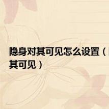 隐身对其可见怎么设置(隐身对其可见)