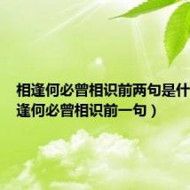 相逢何必曾相识前两句是什么(相逢何必曾相识前一句)