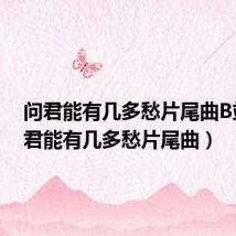 问君能有几多愁片尾曲B站(问君能有几多愁片尾曲)