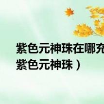 紫色元神珠在哪充能（紫色元神珠）