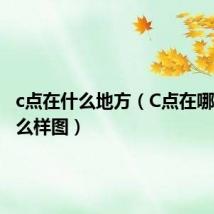 c点在什么地方(C点在哪里长什么样图)