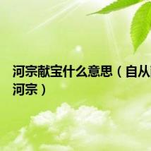 河宗献宝什么意思(自从献宝朝河宗)