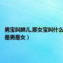 男宝叫麟儿,那女宝叫什么(麟儿是男是女)