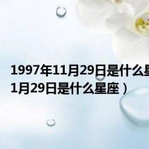 1997年11月29日是什么星座(11月29日是什么星座)