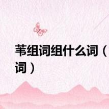 苇组词组什么词（苇组词）