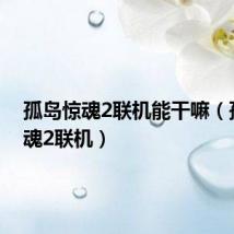 孤岛惊魂2联机能干嘛(孤岛惊魂2联机)