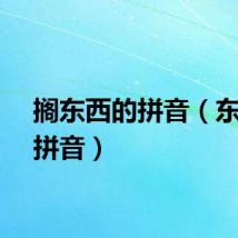 搁东西的拼音(东西的拼音)