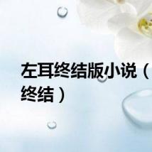 左耳终结版小说（左耳终结）