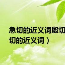 急切的近义词殷切（急切的近义词）