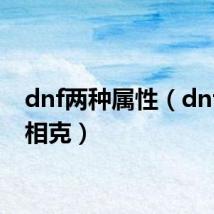 dnf两种属性(dnf属性相克)