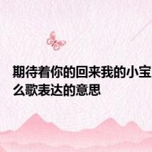 期待着你的回来我的小宝贝是什么歌表达的意思