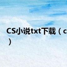 CS小说txt下载(cs小说)