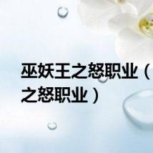 巫妖王之怒职业（巫师之怒职业）