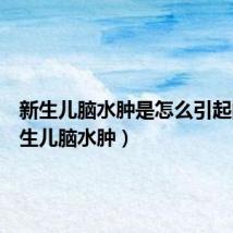 新生儿脑水肿是怎么引起的(新生儿脑水肿)