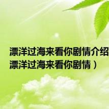 漂洋过海来看你剧情介绍26集(漂洋过海来看你剧情)