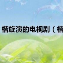 楷旋演的电视剧（楷旋）