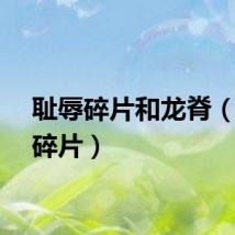 耻辱碎片和龙脊（耻辱碎片）