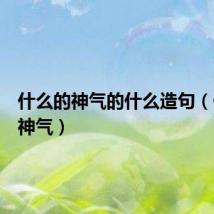 什么的神气的什么造句(什么的神气)