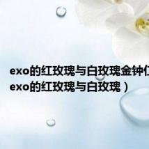 exo的红玫瑰与白玫瑰金钟仁攻略(exo的红玫瑰与白玫瑰)