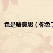 色是啥意思（你色了）